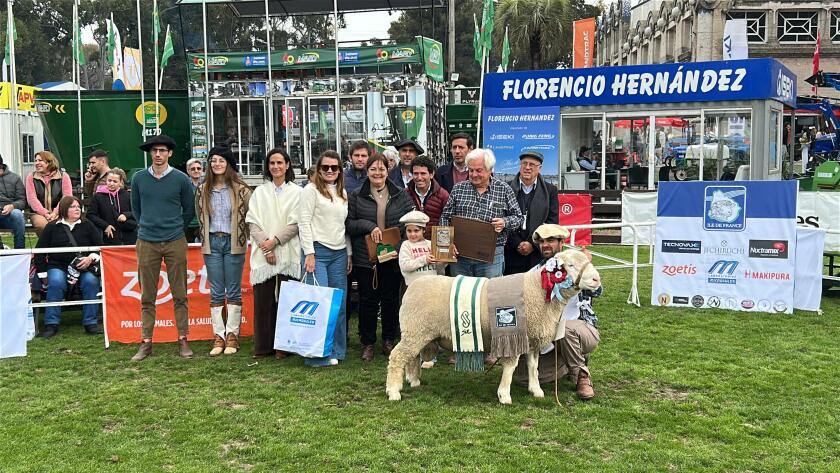 Gran Campeón Macho PI fue para cabaña La Fernandina.jpeg