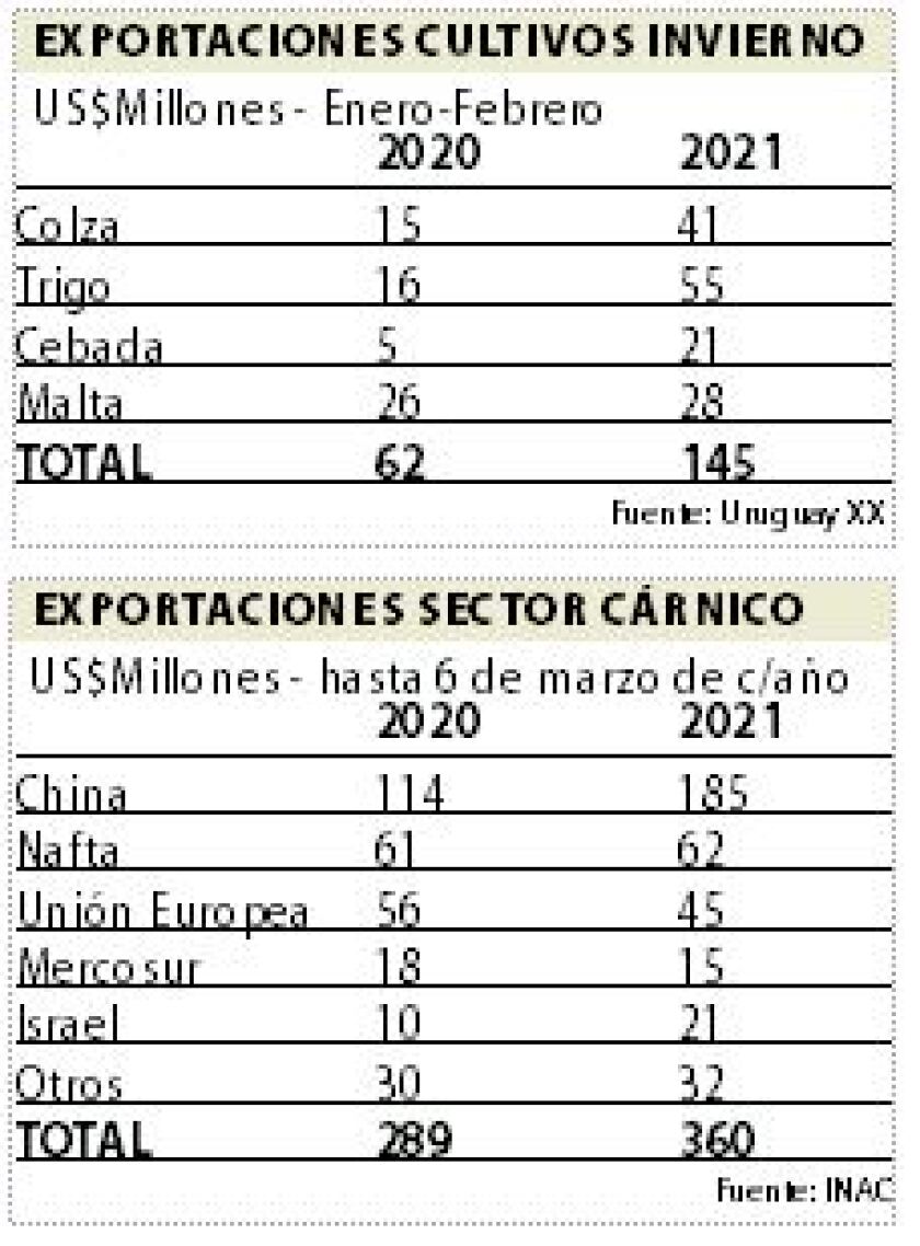 exportaciones-1.jpg