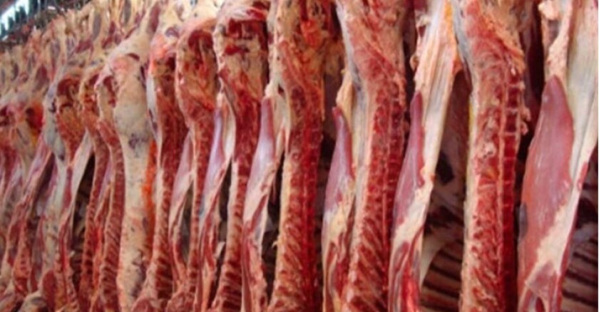 Carne Py.jpg