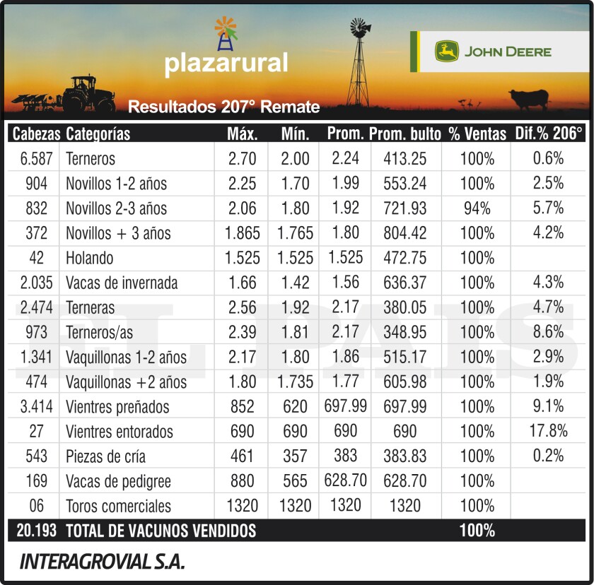 3x8 Plaza 207.cdr