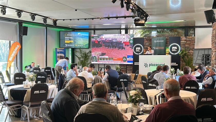 Remate Plaza miércoles 15 .jpg