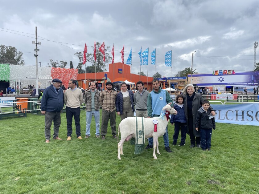 Gran Campeona PO de Luis Piccone.