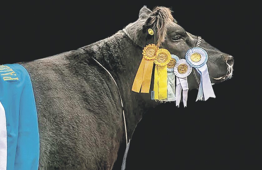 imagen-la-rubeta-copia.jpg