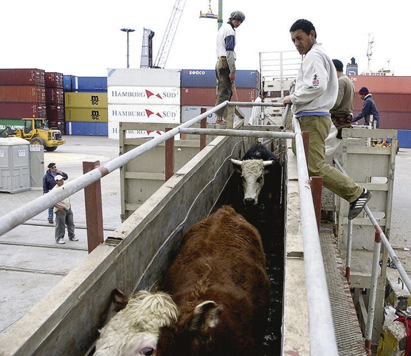 Exportaciones