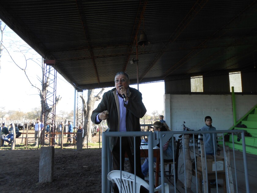 carlos-pages-pineda-1832707.jpg