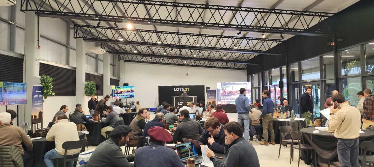 Lote 21 colocó el 96,2% de la oferta y confirmó la firmeza del mercado de reposición