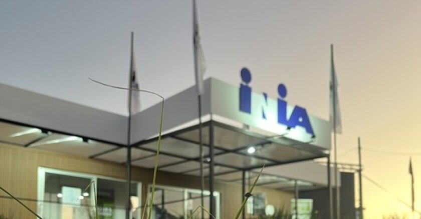 Inia
