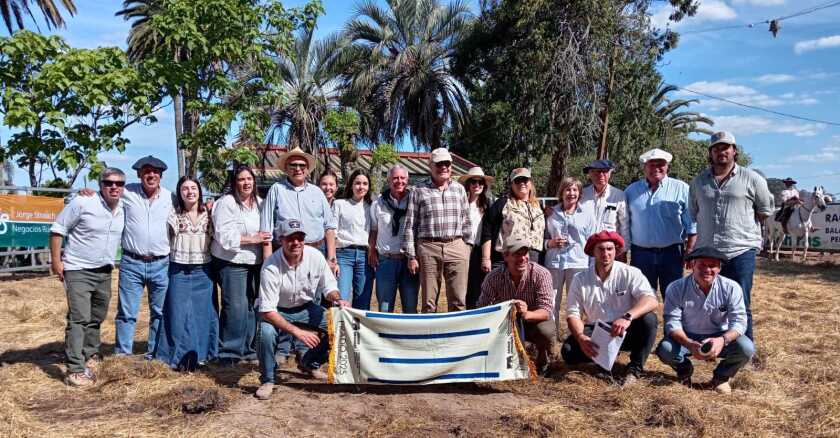 Remate Nueva Alianza Angus desde Treinta y Tres.