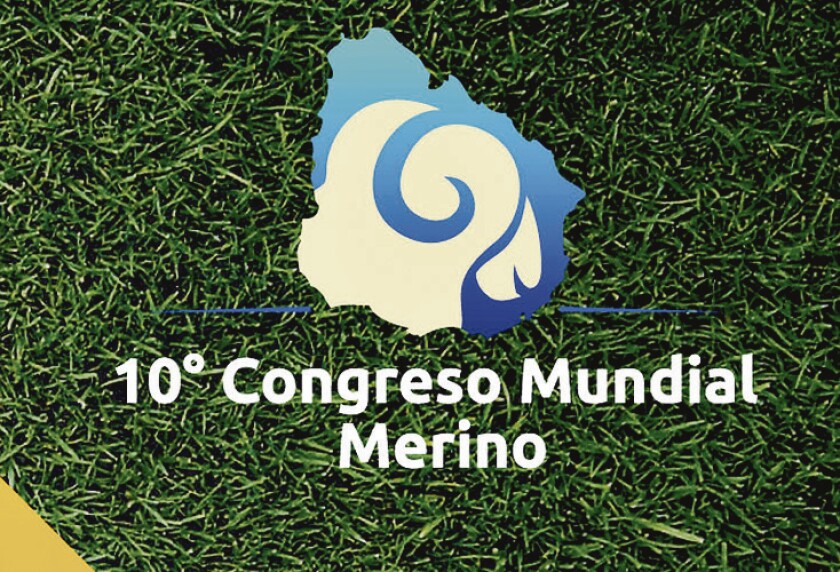 imagen-congreso-merino.jpg