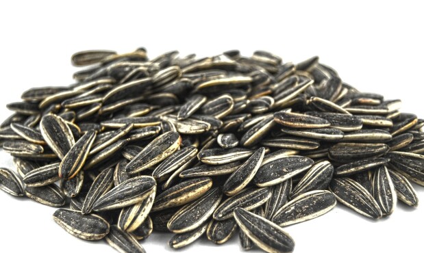 Semillas de girasol.jpg