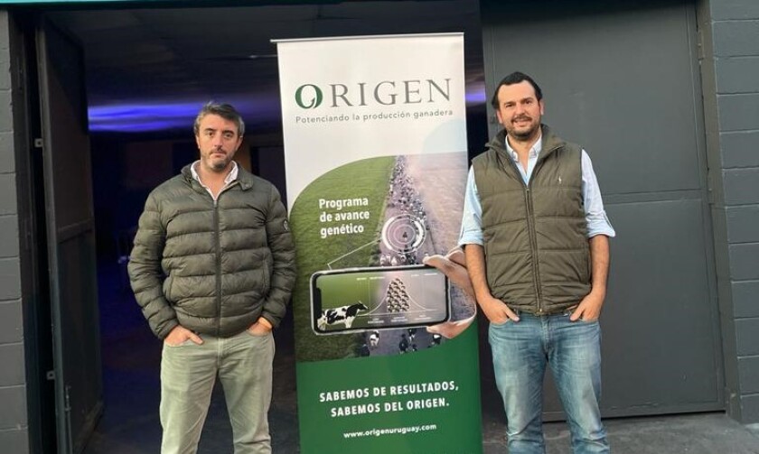 Albanell y Mendiola ok.jpg