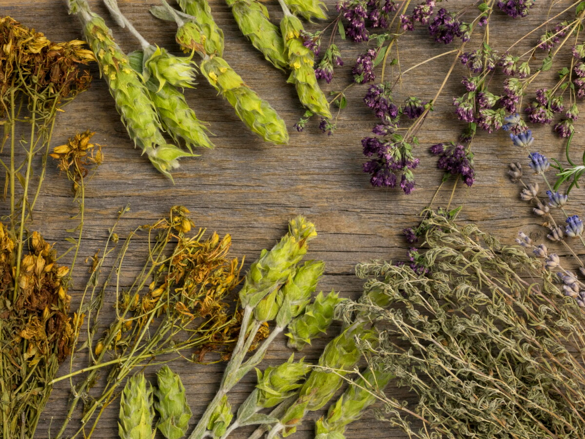 Hierbas aromáticas.