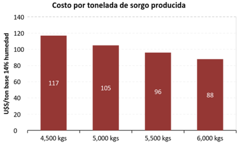 GRAFICO 4