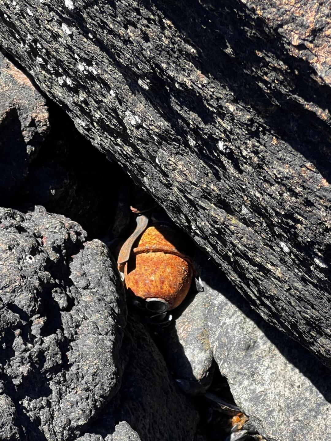 La granada hallada en Piedras del Chileno
