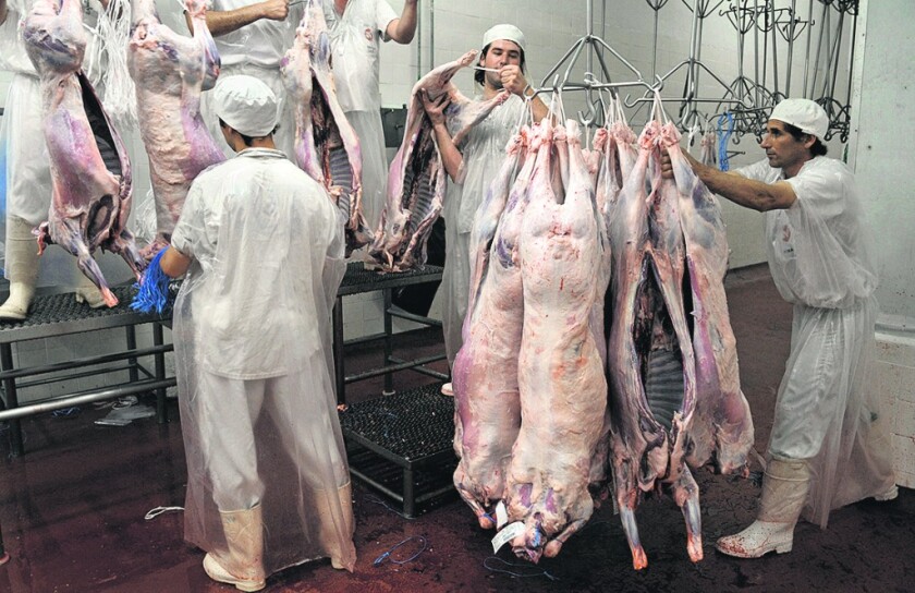 carne-ovina-1024x663.jpg