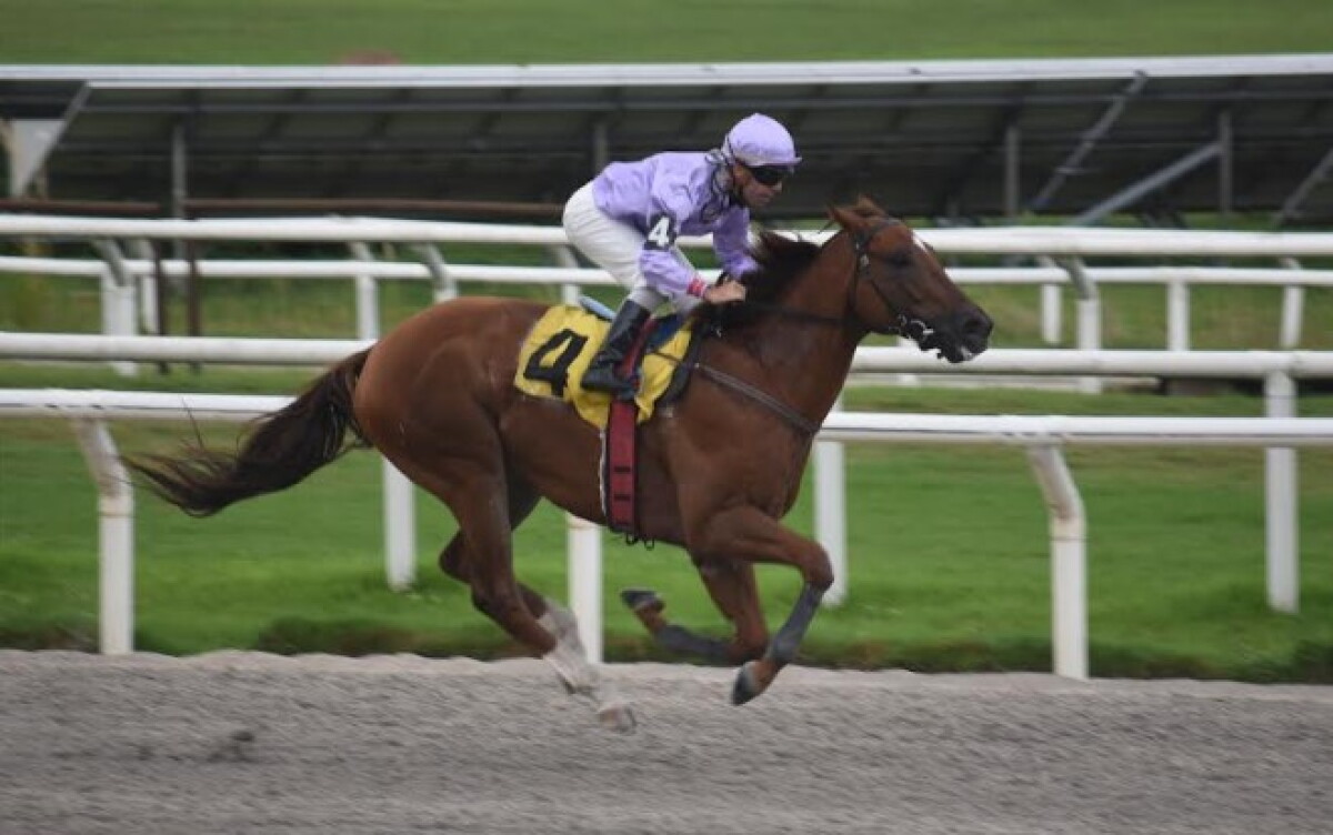 Con largadas desde Belloni se disputan cuatro clásicos este fin de semana en el hipódromo de Maroñas
