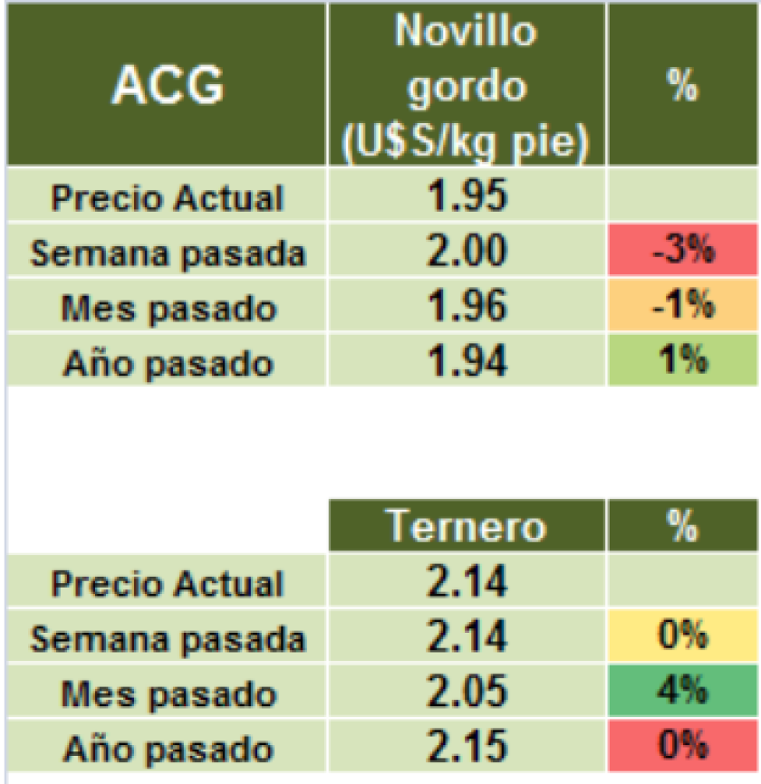GRAFICO 6