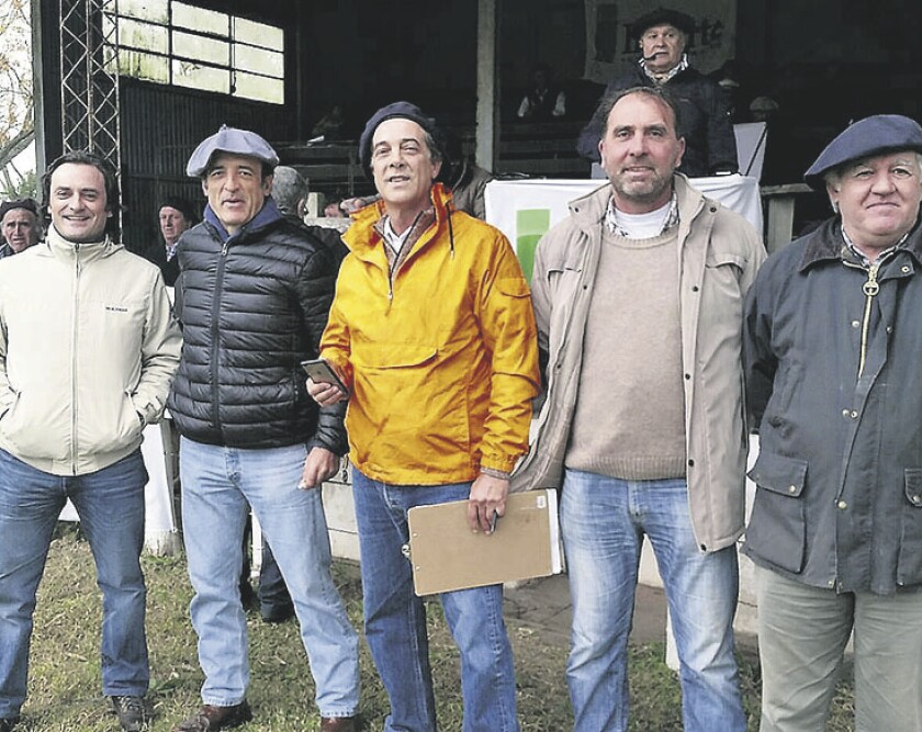 imagen-indarte-caballos.jpg
