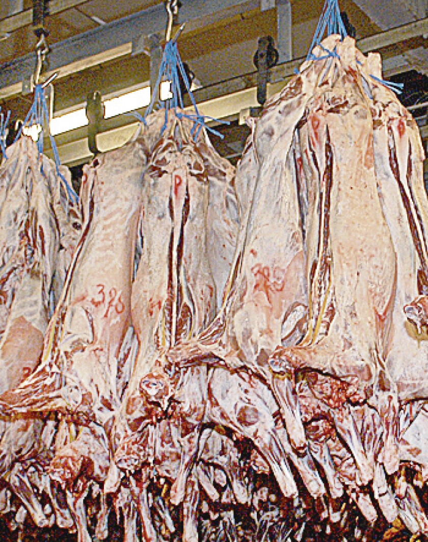 Carne