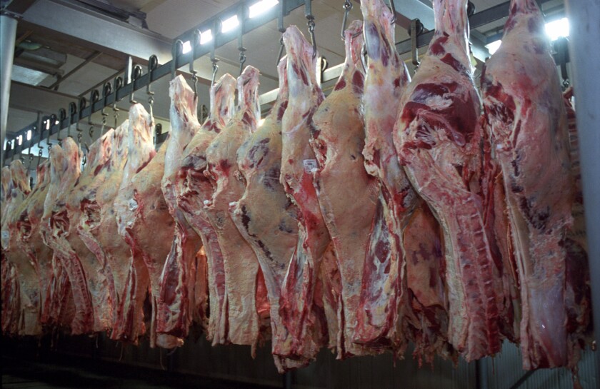 Carne