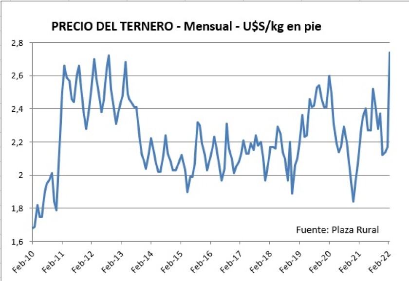 Precio del ternero.jpg