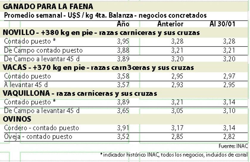 ganado-para-faena.jpg