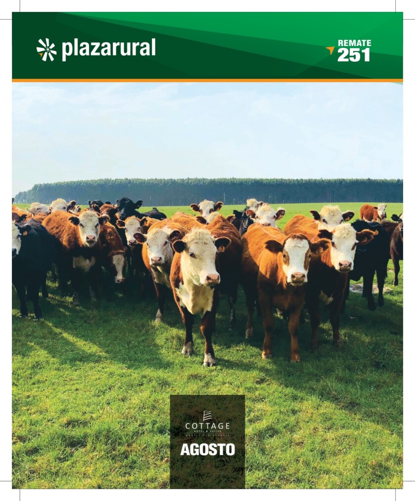 WhatsApp Image 2022-08-01 at 6.40.43 PM.jpeg