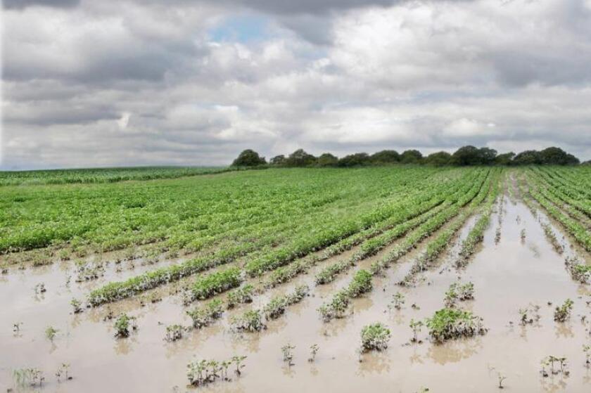 Inundaciones en Argentina. Foto: Ruralnet