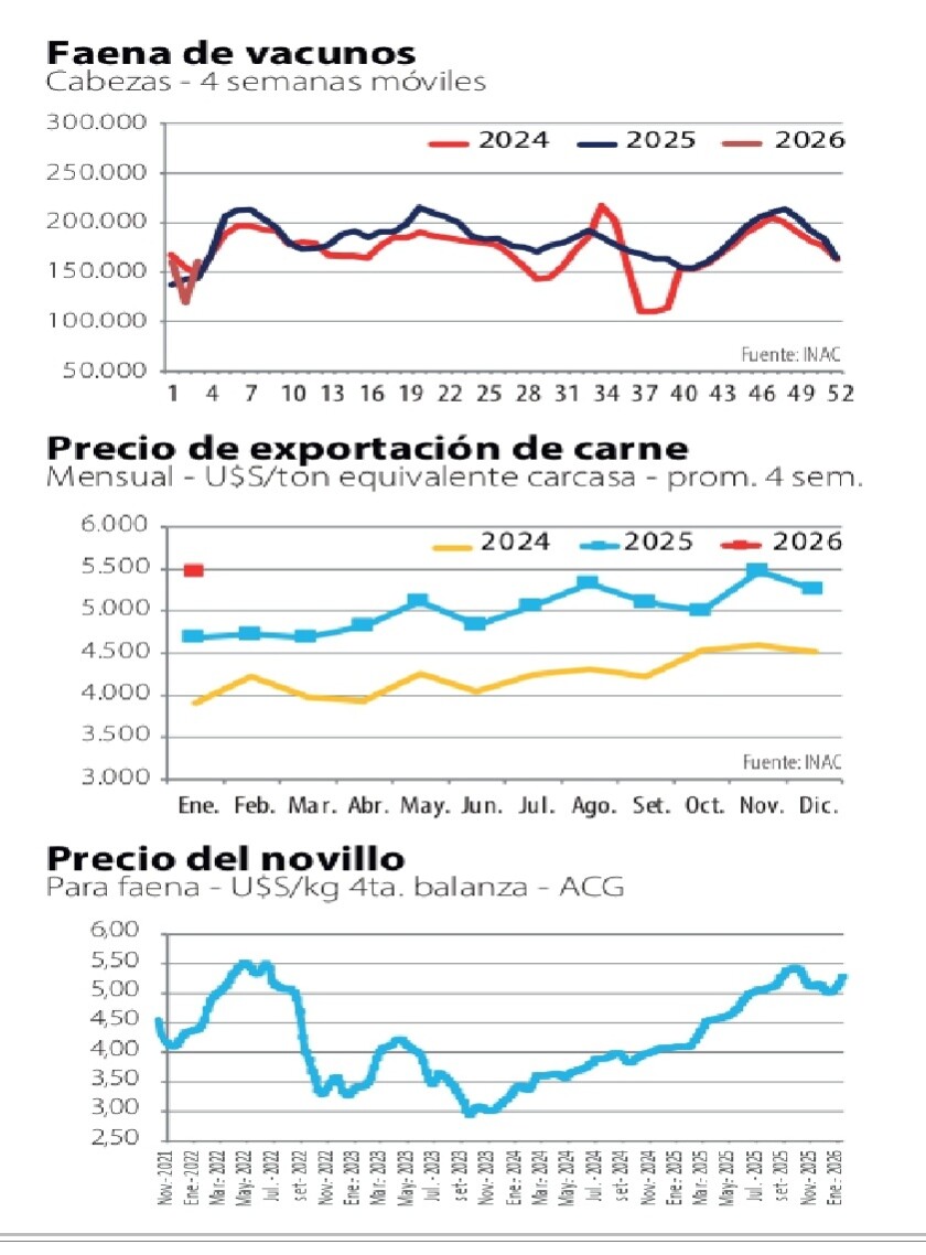 Gráficas NcL.jpg