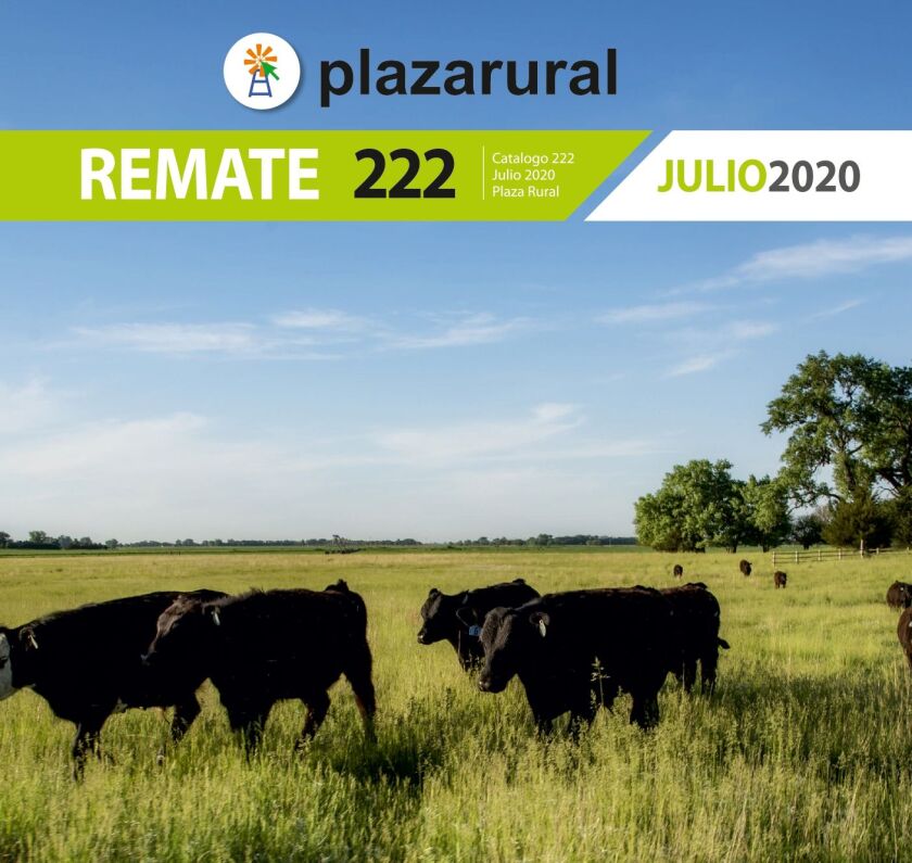 foto-nota-plazarural.jpg