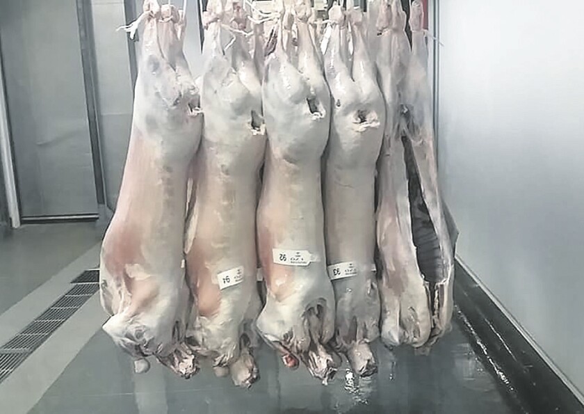 imagen-carcasas-cordero-bonino.jpg