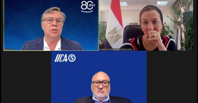 En la reunión, además de la Ministra egipcia Yasmine Fouad y el Director General del IICA, Manuel Otero, participó el Asesor Especial, Jorge Werthein.