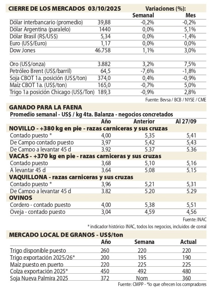 Cuadros NcL.jpg