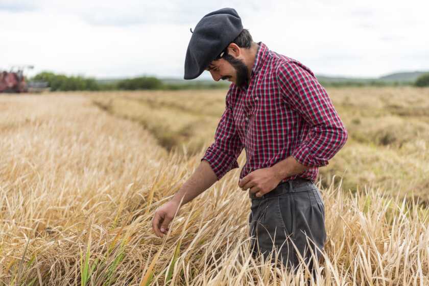 WhatsApp Image 2022-11-25 at 18.40.57 (2).jpeg