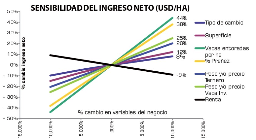 grafica-apeo.jpg
