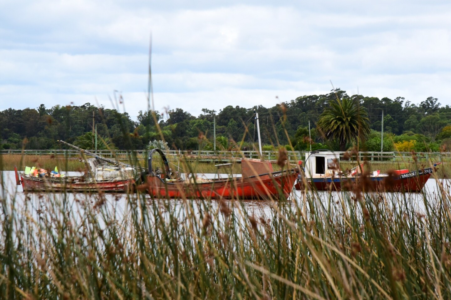Santa Lucía