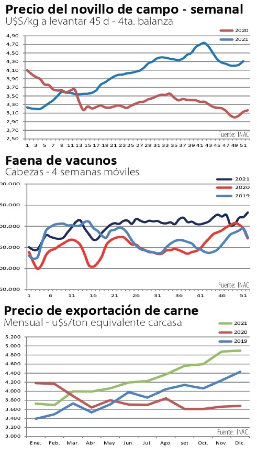 gráficas NCL.jpg