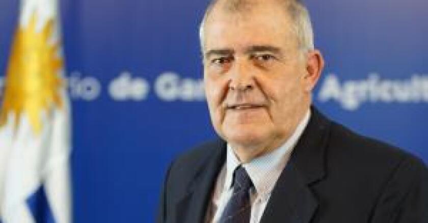 De Freitas.jpg