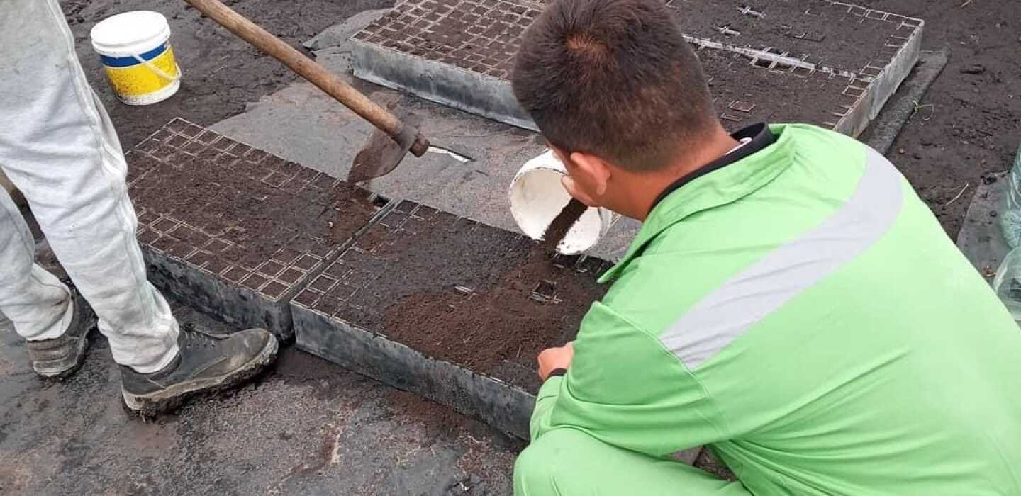 ReNacer: la historia del proyecto que siembra árboles de la mano de personas privadas de libertad de Paysandú