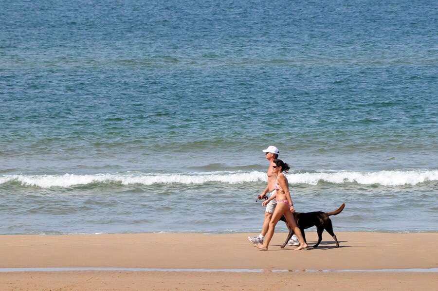 La Intendencia de Maldonado pide que se baje a los perros con collar y correa. Foto: R. Figueredo