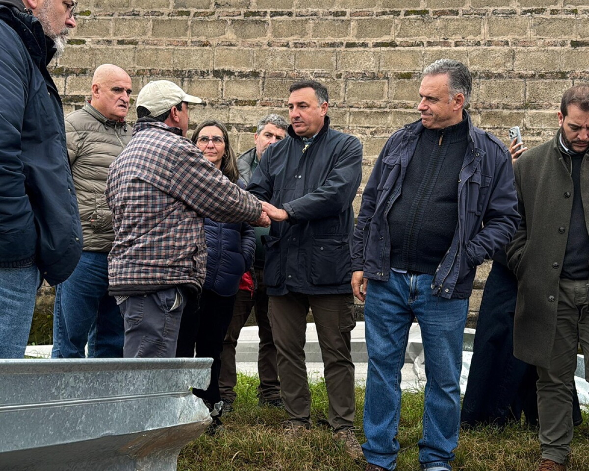 El presidente de la República, Yamandú Orsi, recorrió en Salto los barrios afectados por el temporal