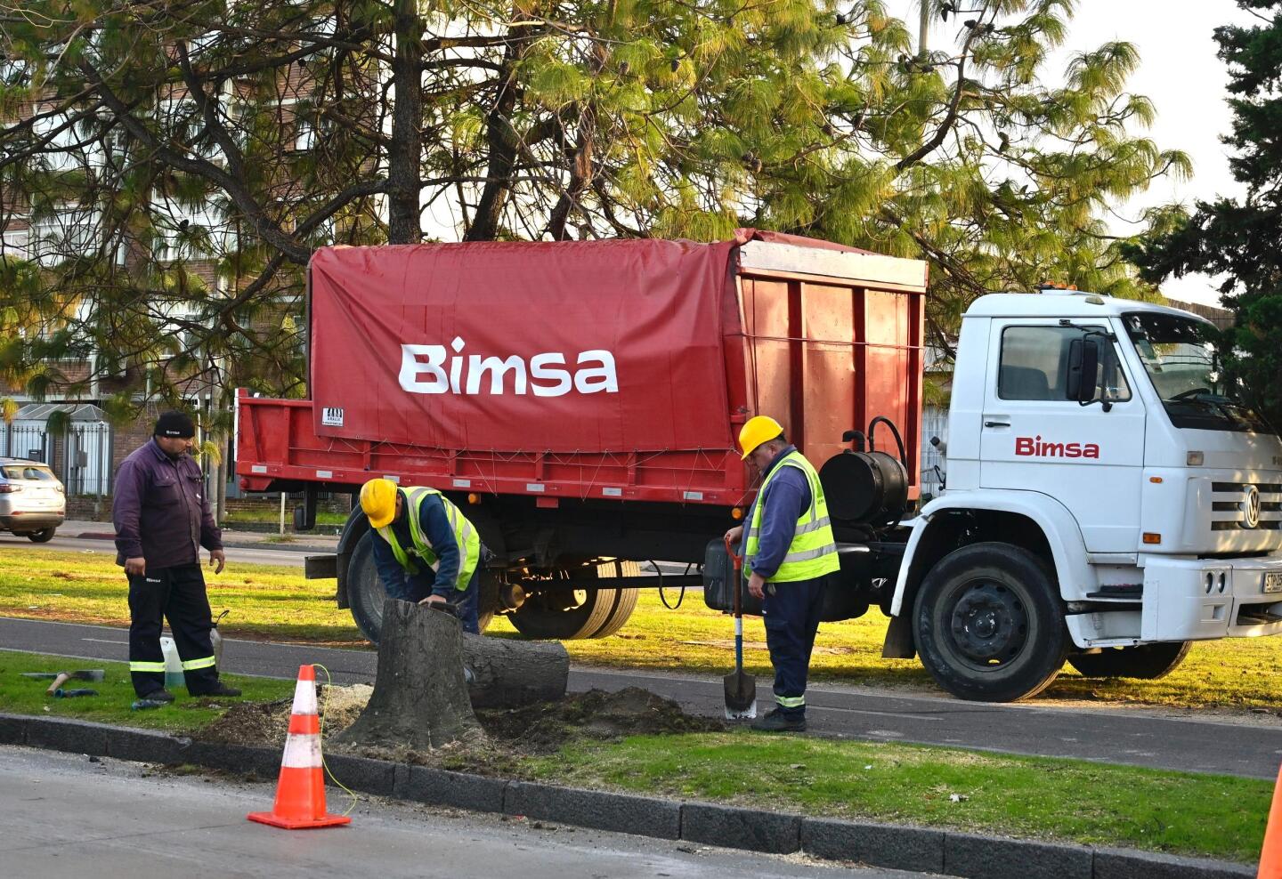Trabajadores quitan árboles del cantero de Avenida Italia por resolución de la Intendencia de Montevideo.