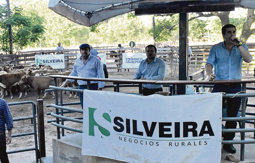 silveira.jpg