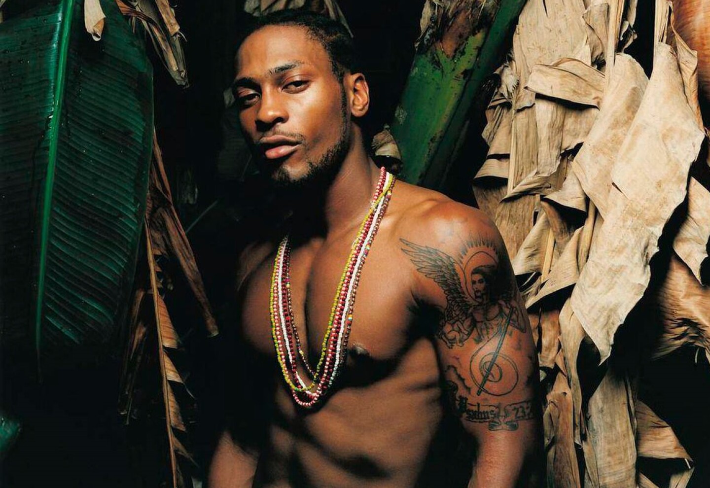 d'angelo