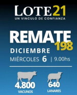 Foto previa Lote 21.jpg