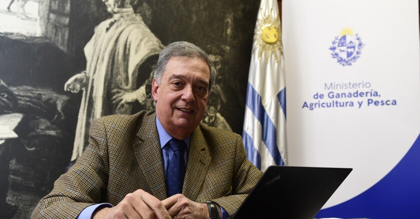 Mattos