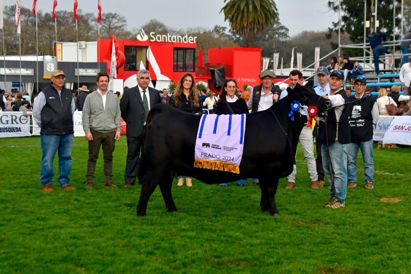 La Tercera Mejor Hembra y Campeona Vaquillona Mayor fue de Campo Norte, Mariel Romero, Monegier Brice y Laura López.