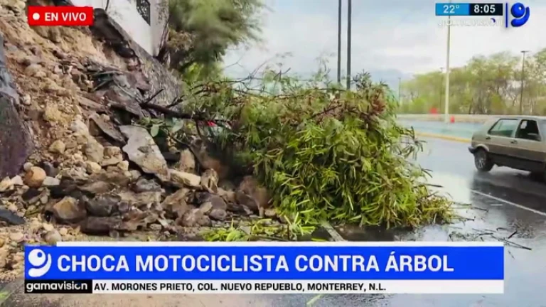 Movilera y camarógrafo atropellados en vivo en México