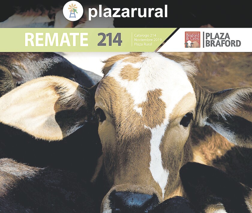 imagen-foto-nota-plazarural.jpg