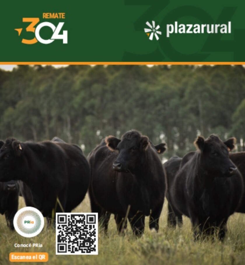 Previa Plaza mayoo 13.jpg